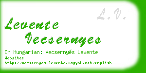 levente vecsernyes business card